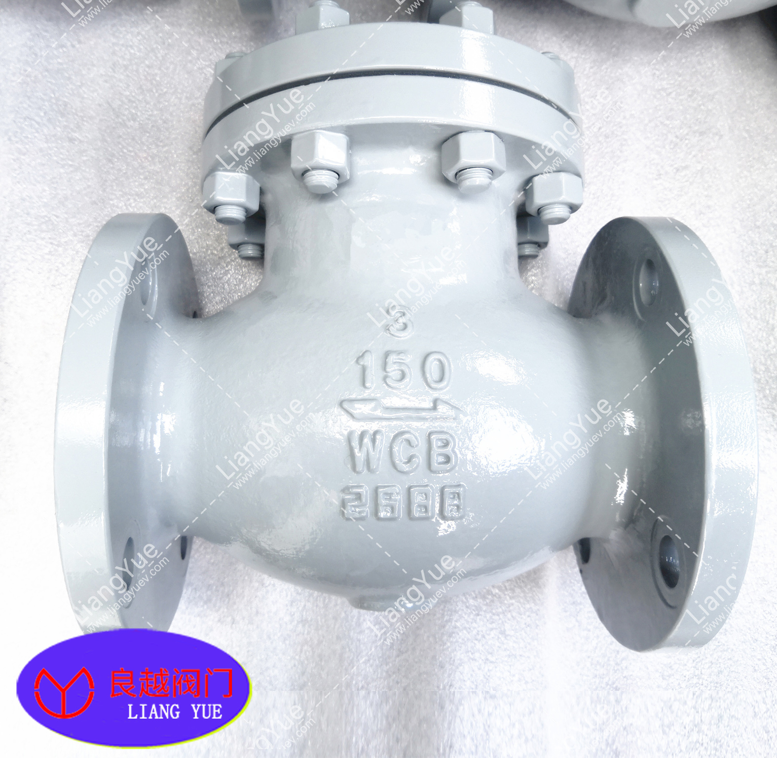 美標升降式止回閥